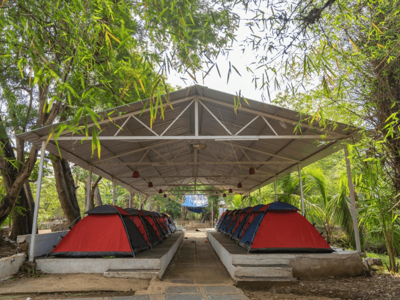 Camping Tent